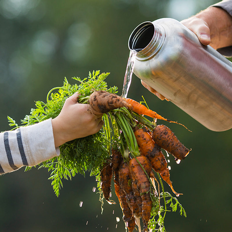 64oz-wide-with-loop-cap-f9 64oz_wide_mouth_bottle_carrots_rinse_square.jpg